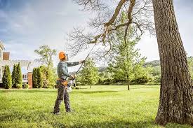 Best Tree Trimming and Pruning  in Rockville, IN